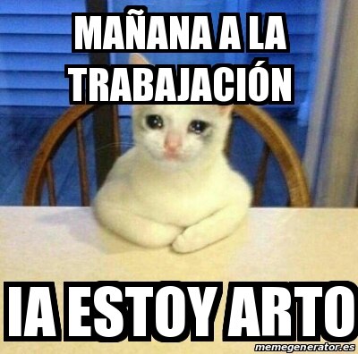 Día Mundial del Gato 2022. No le busques tres memes al gato, sabiendo que tiene cuatro