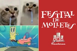 Festival del Mollete 2026: los memes y TikToks más virales del evento del que todos hablan