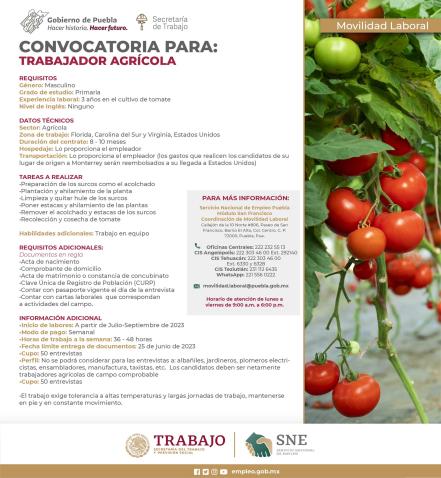 Bolsa de Trabajo en Puebla: vacantes para laborar como jornaleros en Estados Unidos  