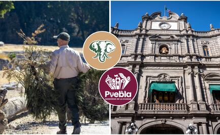 Gobierno de la Ciudad y Africam Safari inician campaña de reciclaje de árboles de Navidad