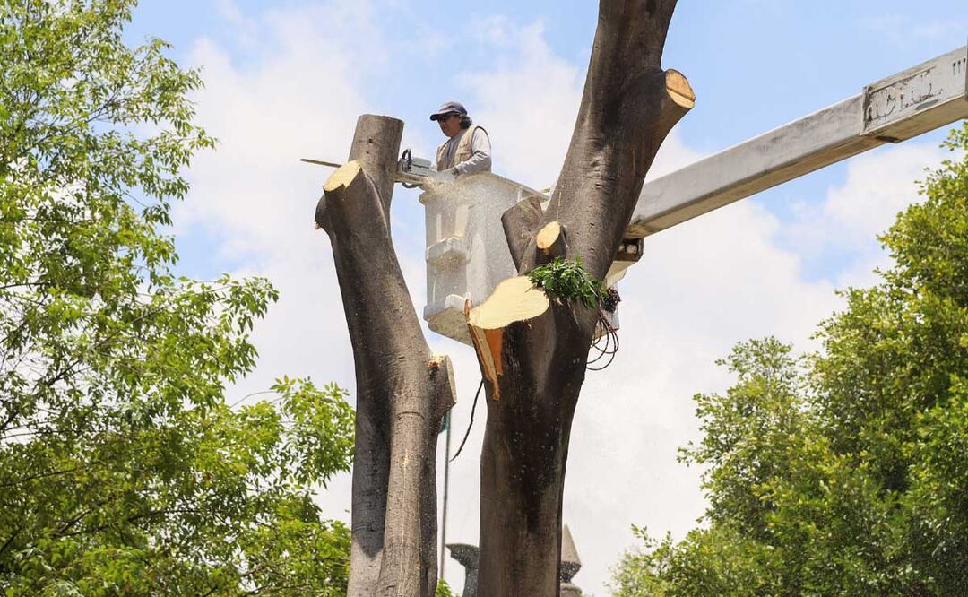 Foto: Agencia Es Imagen para El Universal Puebla