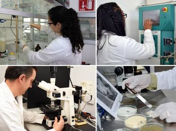 En cuatro años creció 30.5% el número de investigadores BUAP