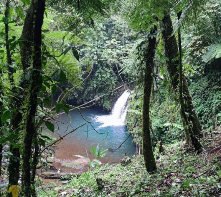 En Teziutlán encontrarás este paraíso terrenal | Instagram Rancho El Breñal