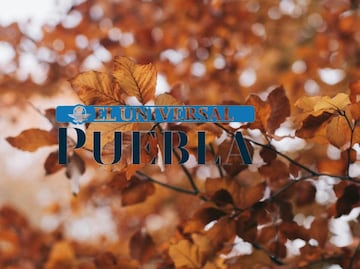 ¿Cuándo iniciará el otoño en Puebla este 2024?