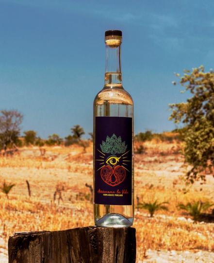 Una probadita de 8 mezcales en Puebla