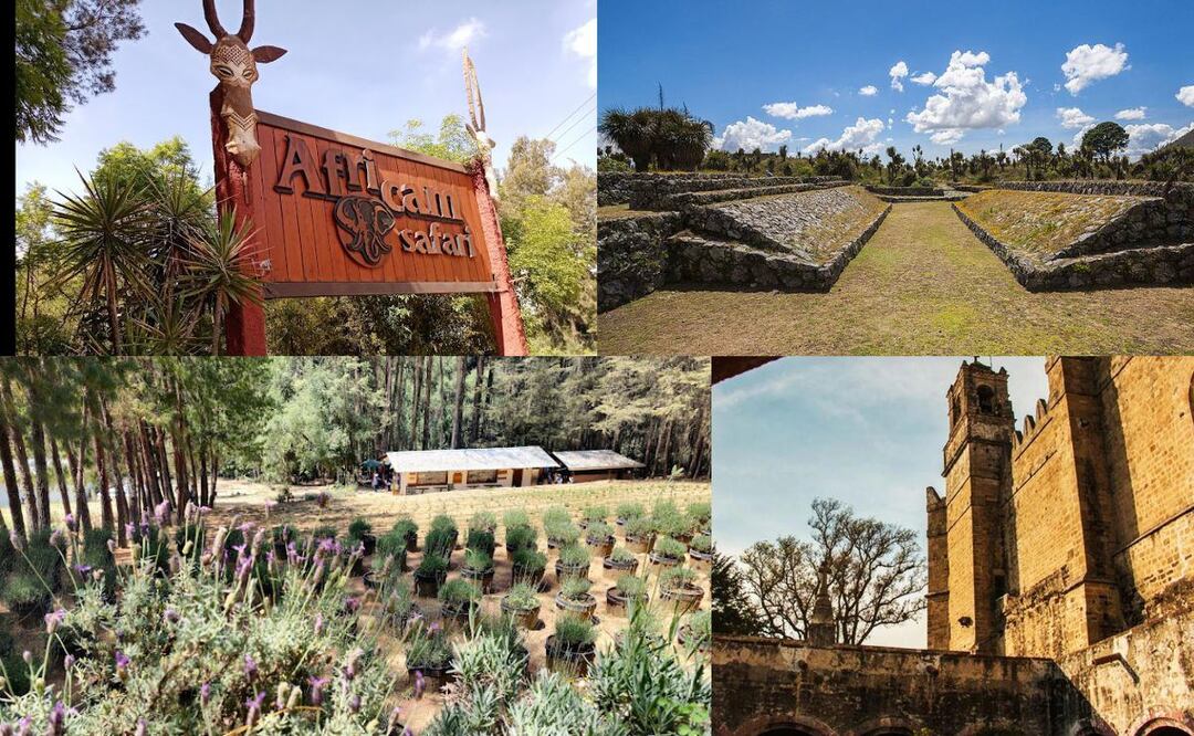 En Puebla hay varias opciones para vivir un verano increíble | Foto: Collage