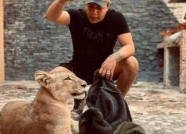 Hijo del alcalde de Amozoc vendía cachorra de león en redes