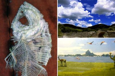 Viaja al pasado y descubre el mar que existió en Puebla