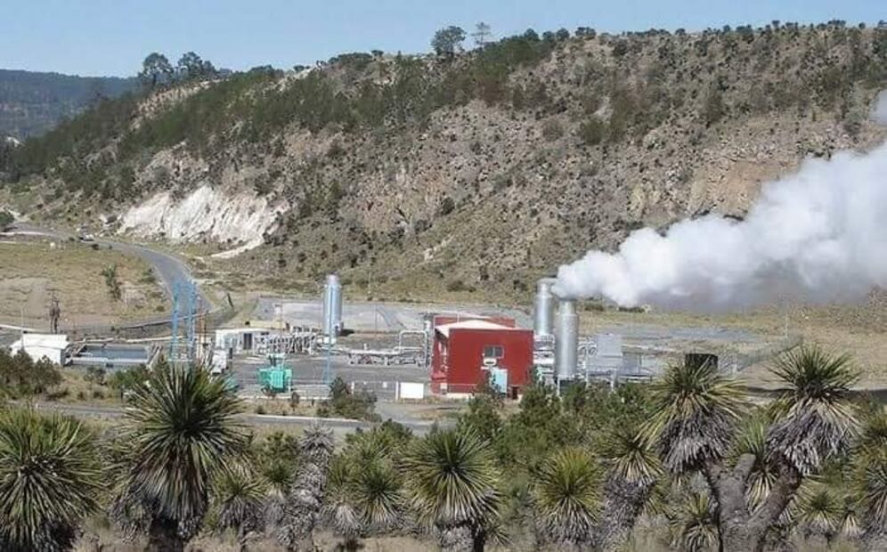 Foto: Nichols d'Orleans