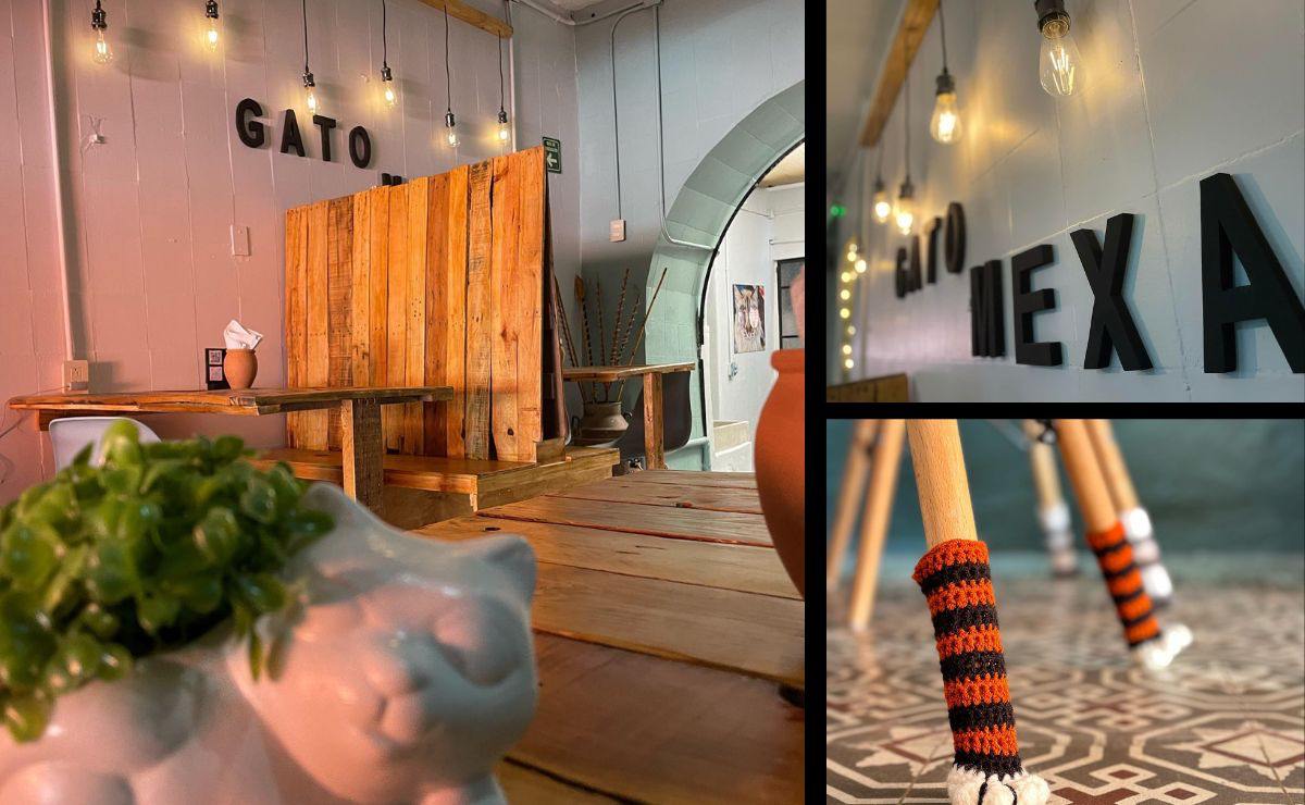 Gato Mexa es el restaurante perfecto para los amantes de los gatos | Portada Facebook Gato Mexa