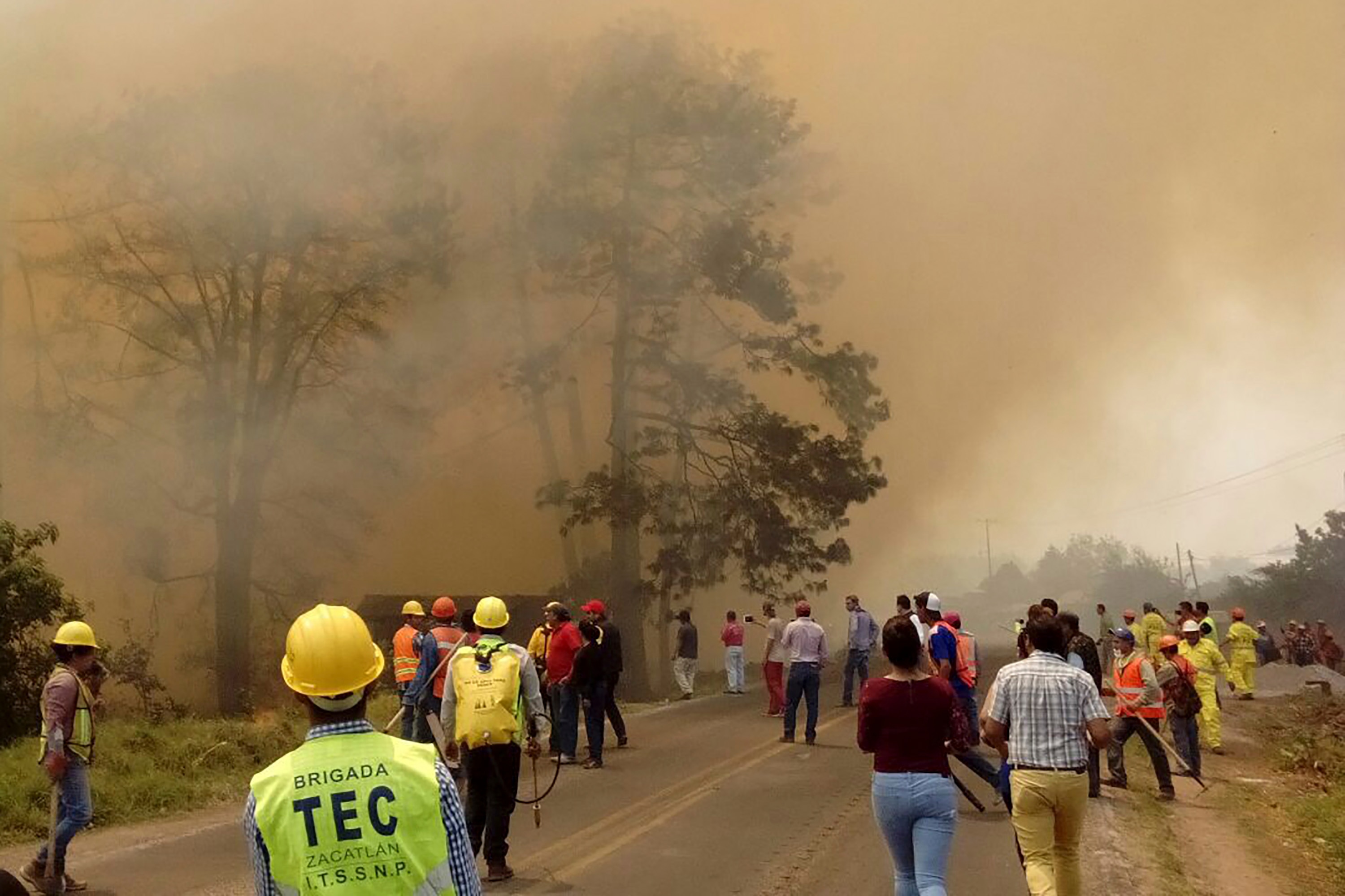 Reportan incremento del 45 por ciento en los incendios forestales en Puebla