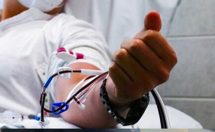 Emiten recomendaciones por casos de rabia en algunos estados del país