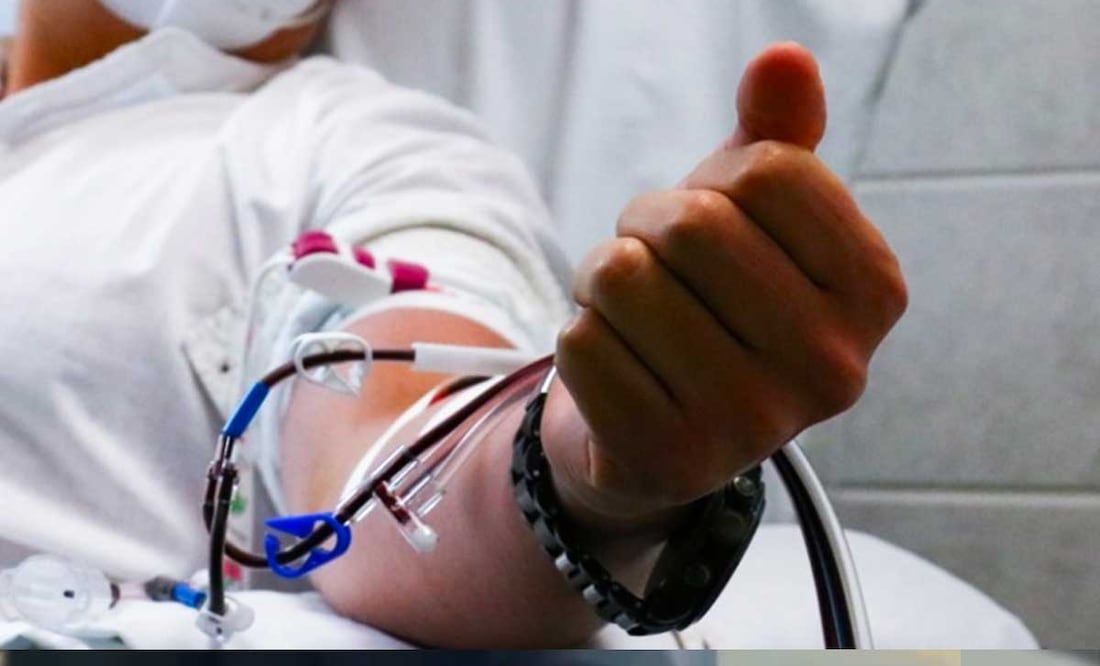 Cualquier caso de rabia debe ser registrado ante el Sistema Nacional de Vigilancia Epidemiológica | Foto: Archivo El Universal