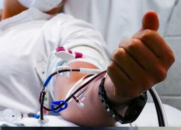 Emiten recomendaciones por casos de rabia en algunos estados del país