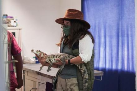 Me pareció ver a un lindo... ¿cocodrilo? Hallan reptil en patio de vivienda en Ecatepec 