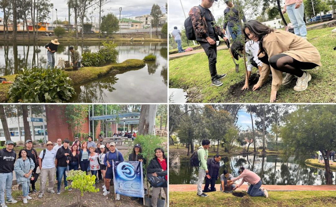 Jornada de reforestación reunió a estudiantes, docentes, investigadores y personal administrativo de la universidad | Foto: Buap