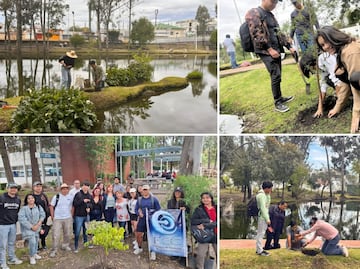 BUAP siembra ahuehuetes en Ciudad Universitaria