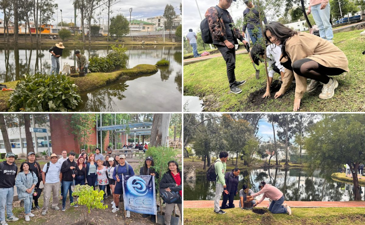 BUAP siembra ahuehuetes en Ciudad Universitaria