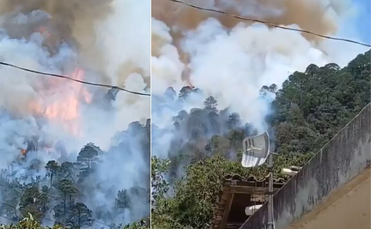 Por un incendio forestal en Coyomeapan se tomaron medidas preventivas | Foto: Captura Redes Sociales