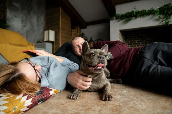 El simbolismo espiritual de la presencia canina en el hogar. Fuente: Freepik.
