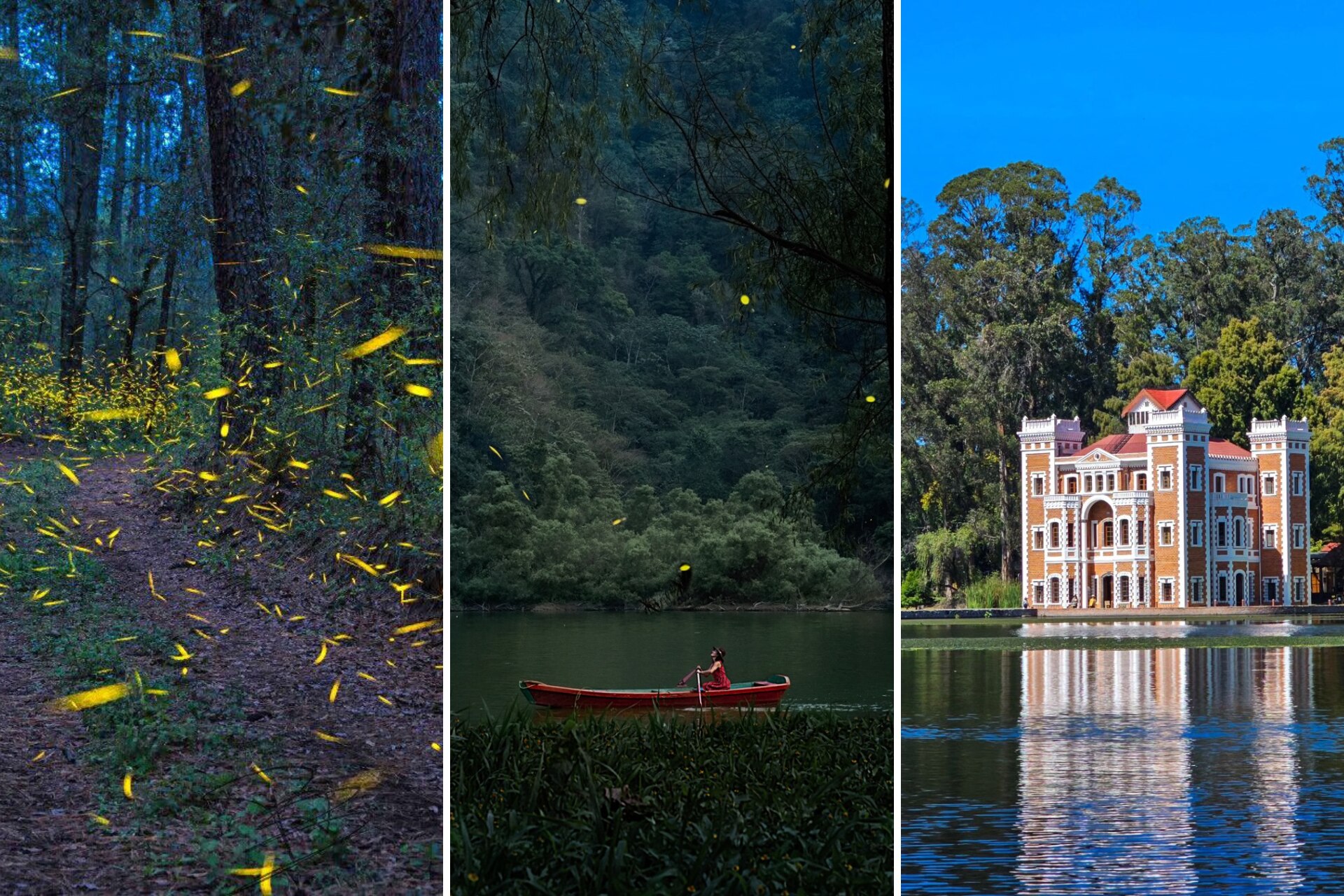 El avistamiento de luciérnagas se puede disfrutar cerca de la CDMX | Foto: FB Tlatlauquitepec Pueblo Mágico / FB Santuario De La Luciérnaga Ejido Santa Rita Tlahuapan / FB Ex-Hacienda de Chautla Puebla