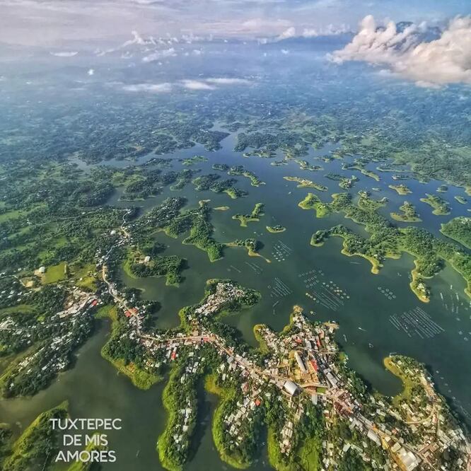 En México se encuentra un hermoso lugar que parece Japón | Foto: Instagram jorge_luis_hdez2