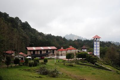 Tour de la Ruta del Café por menos de 2 mil pesos