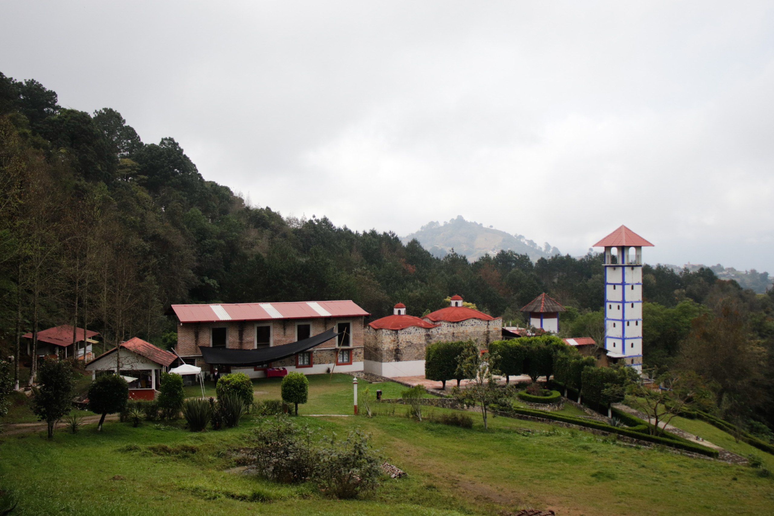 Tour de la Ruta del Café por menos de 2 mil pesos