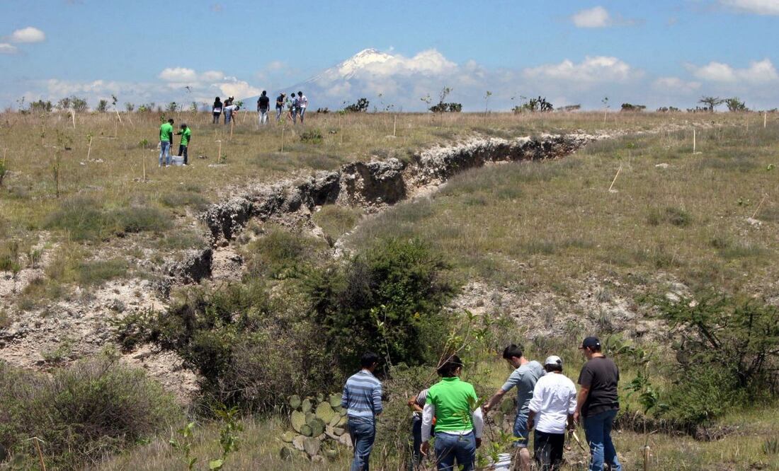 Invita la universidad a sumarse a los 12 Ecoretos BUAP | Foto: BUAP