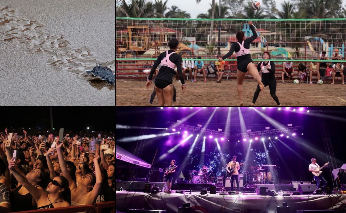 Costa Esmeralda Fest 2024: Cómo llegar de Puebla para liberar tortugas