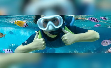 Bucea en el arrecife con la nueva atracción del Acuario Michin en Puebla