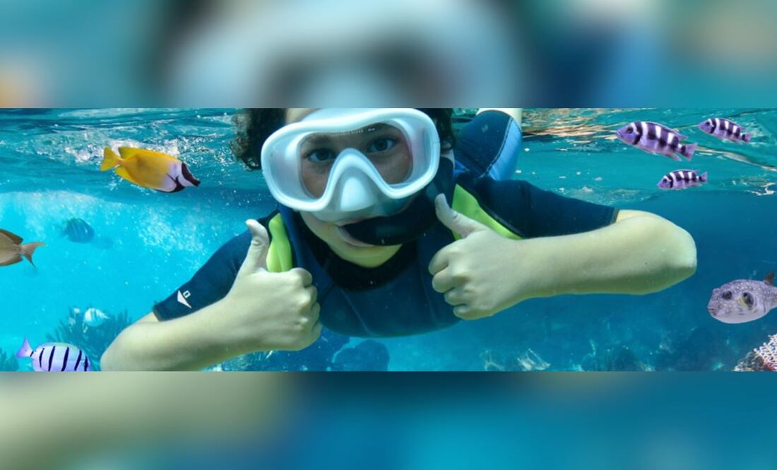 Acuario Michin Puebla ofrece la oportunidad de nadar en el arrecife | Foto: Acuario Michin Puebla