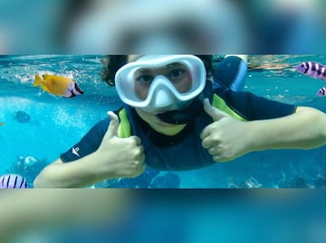 Bucea en el arrecife con la nueva atracción del Acuario Michin en Puebla