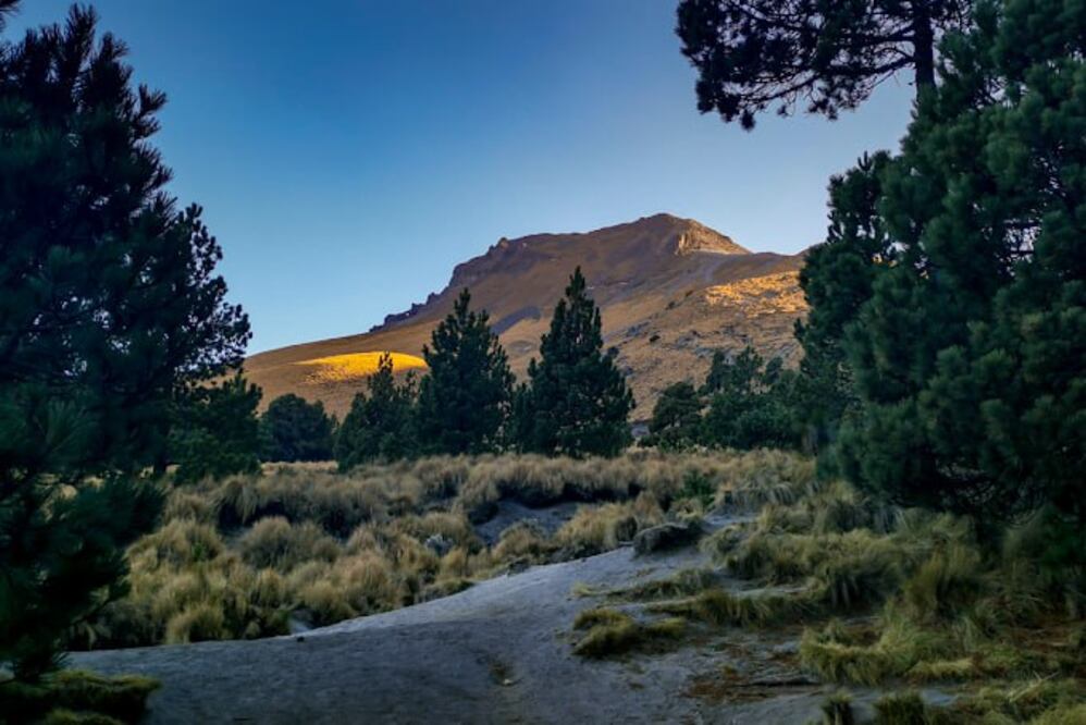 El Parque Nacional La Malinche es un tesoro natural que comparten Puebla y Tlaxcala | Foto: Google / Gil Peña Jaramillo