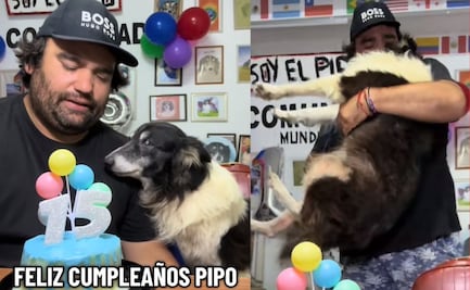 Pipo, el perrito adoptado más famoso del mundo, cumplió años y conmovió hasta las lágrimas