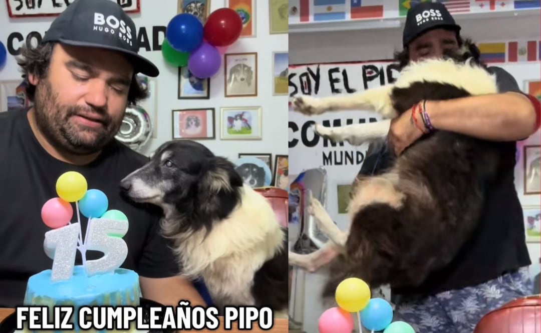 Este perrito de 15 años se convirtió en el protagonista de un emotivo video en TikTok. Foto TikTok  @elpipomotoquero