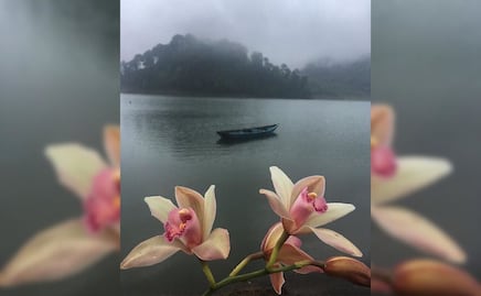 Descubre Tenango de las Flores, un lugar importante para el Cine de Oro
