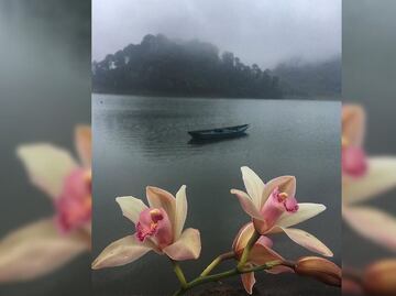 Descubre Tenango de las Flores, un lugar importante para el Cine de Oro
