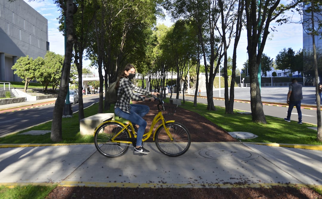 BUAP reconocida en el UI Green Metric World University Ranking 2023 I Foto: BUAP