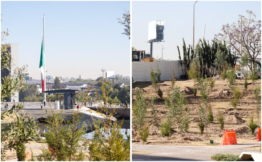 Gobierno de Puebla planta 2 mil 200 árboles en CIS y Parque Ecológico