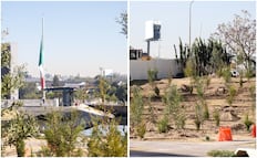 Gobierno de Puebla planta 2 mil 200 árboles en CIS y Parque Ecológico