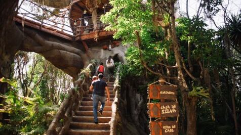 Conoce el mundo mágico de Arboterra en estas vacaciones