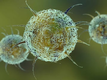 Cuarta ola. Omicron es la nueva variante del Covid