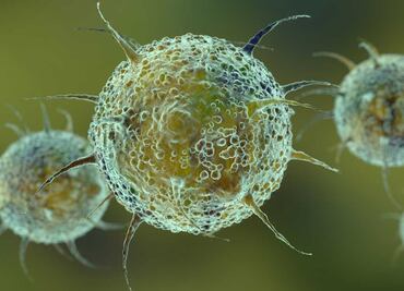 Cuarta ola. Omicron es la nueva variante del Covid