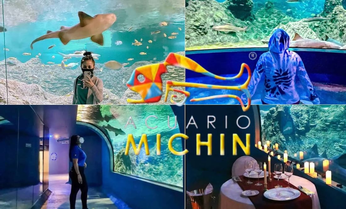 El Acuario Michin se encuentra en Guadalajara, Puebla y Ciudad de México | Foto: Redes Sociales