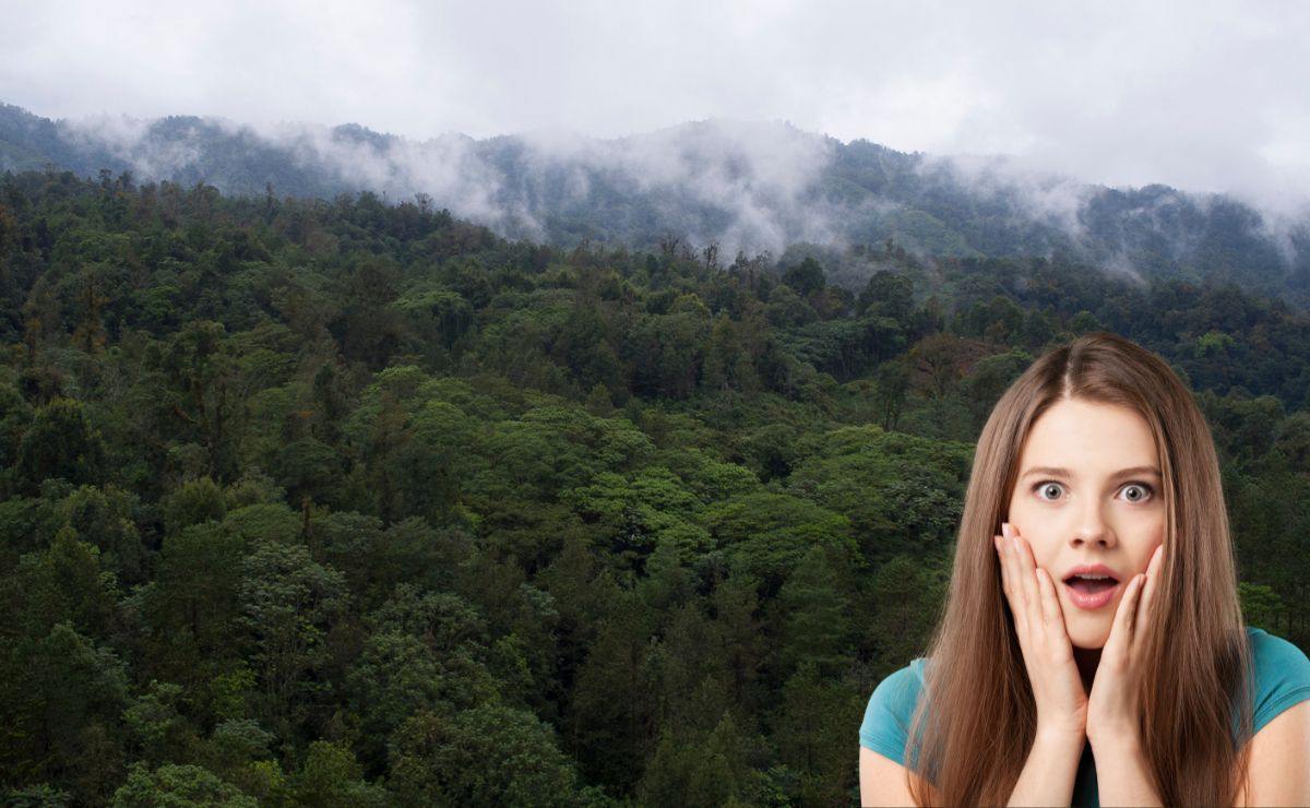 Teziutlán es un Pueblo Mágico conocido como la Perla de la Sierra | Foto: Ejido Atoluca .Comisión Nacional Forestal