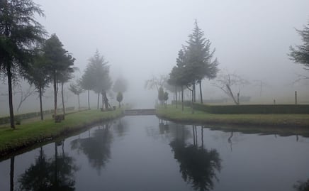 ¿Sin planes para este fin? lánzate al parque ecoturístico Las Pozas en Huauchinango