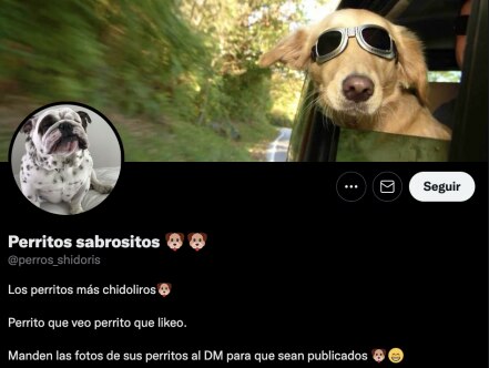 Marcelo Ebrard y las cuentas de Twitter más tiernas y raras que sigue