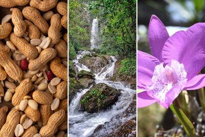Conoce el Pueblo Mágico que huele a azaleas, orquídeas y cacahuate tostado