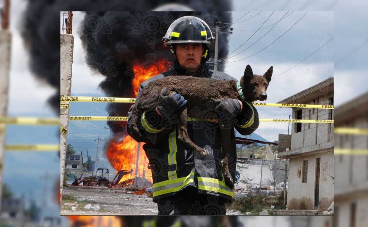 Bombero héroe rescata a perrito tras explosión en Amozoc